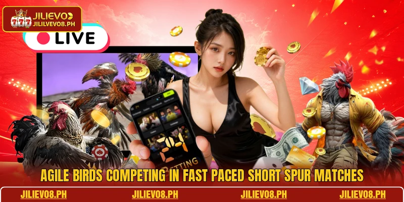 Agile birds competing in fast paced short spur matches