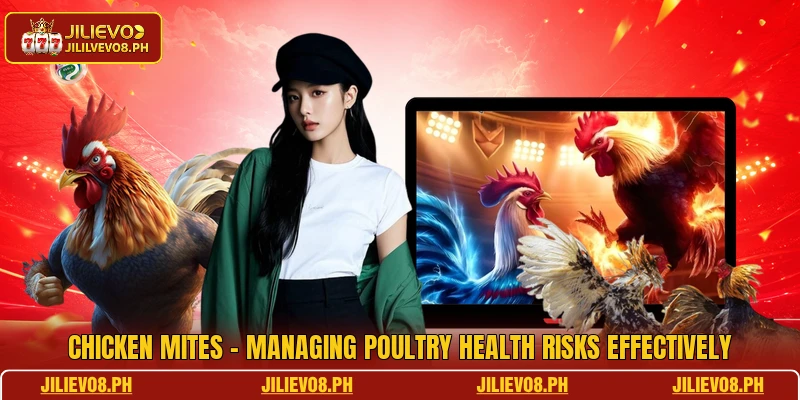 Chicken Mites - Managing Poultry Health Risks Effectively