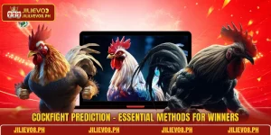 Cockfight Prediction - Essential Methods For Winners