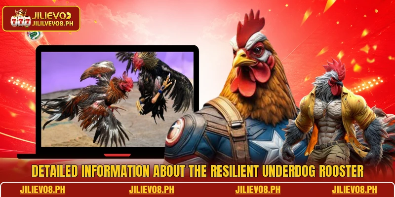 Detailed information about the resilient Underdog Rooster