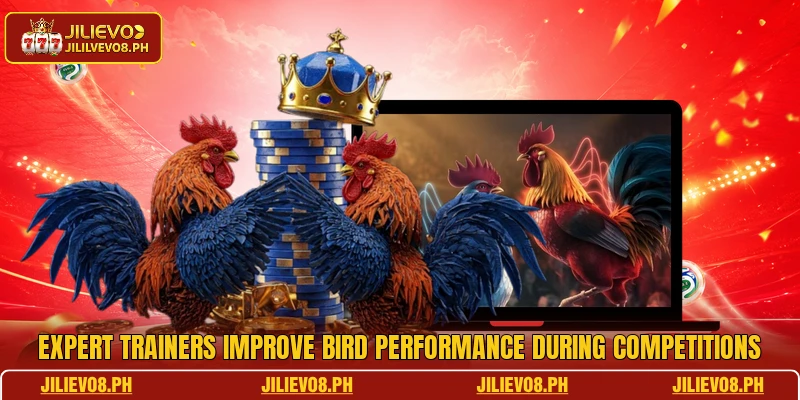 Expert trainers improve bird performance during competitions
