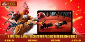 Gamefowl Farm - Secrets For Raising Elite Fighting Birds