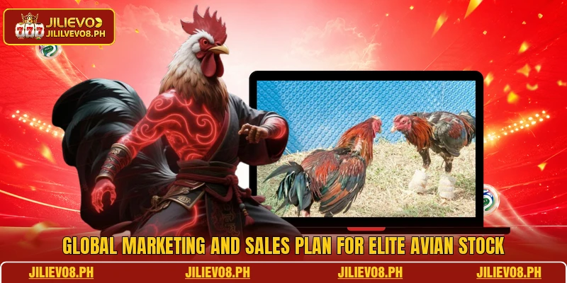 Global marketing and sales plan for elite avian stock