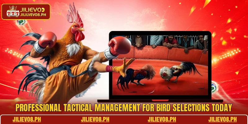 Professional tactical management for bird selections today