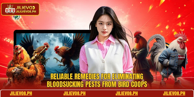 Reliable remedies for eliminating bloodsucking pests from bird coops