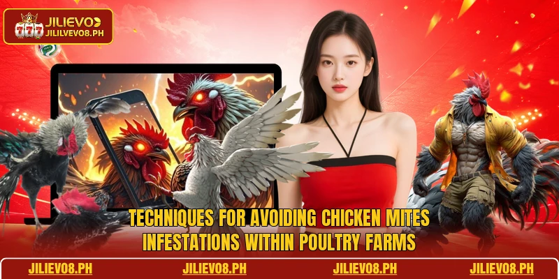 Techniques for avoiding Chicken Mites infestations within poultry farms